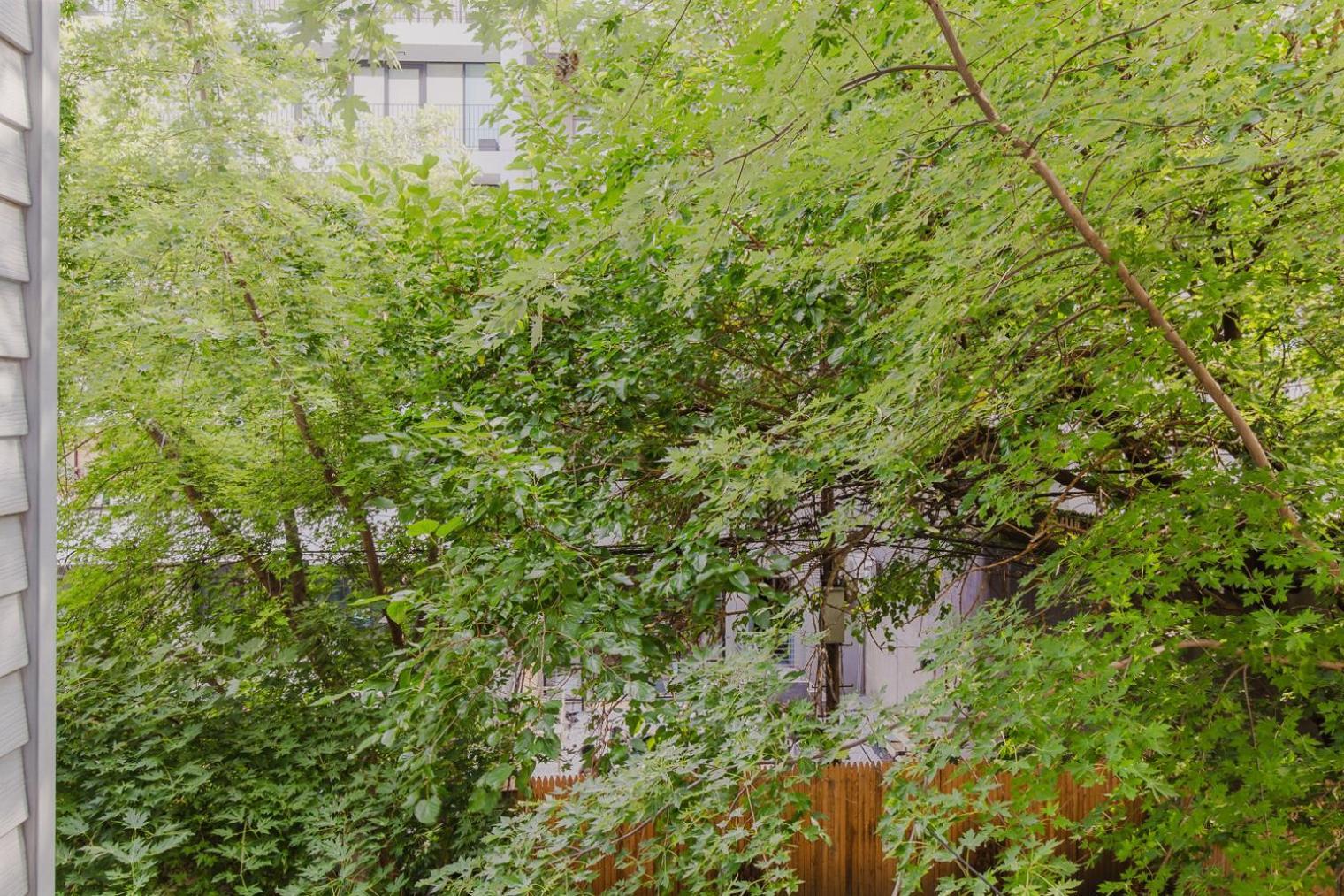 Apartment Blueground Williamsburg Wd Ac Near Park Nyc-1552 *